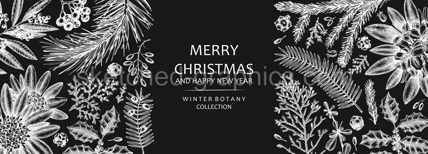 Christmas banner design on chalkboard. Vector frame with hand sketched winter flowers, evergreen plants and con. Vintage background with botanical elements. Engraved style vintage winter illustration. Illustration